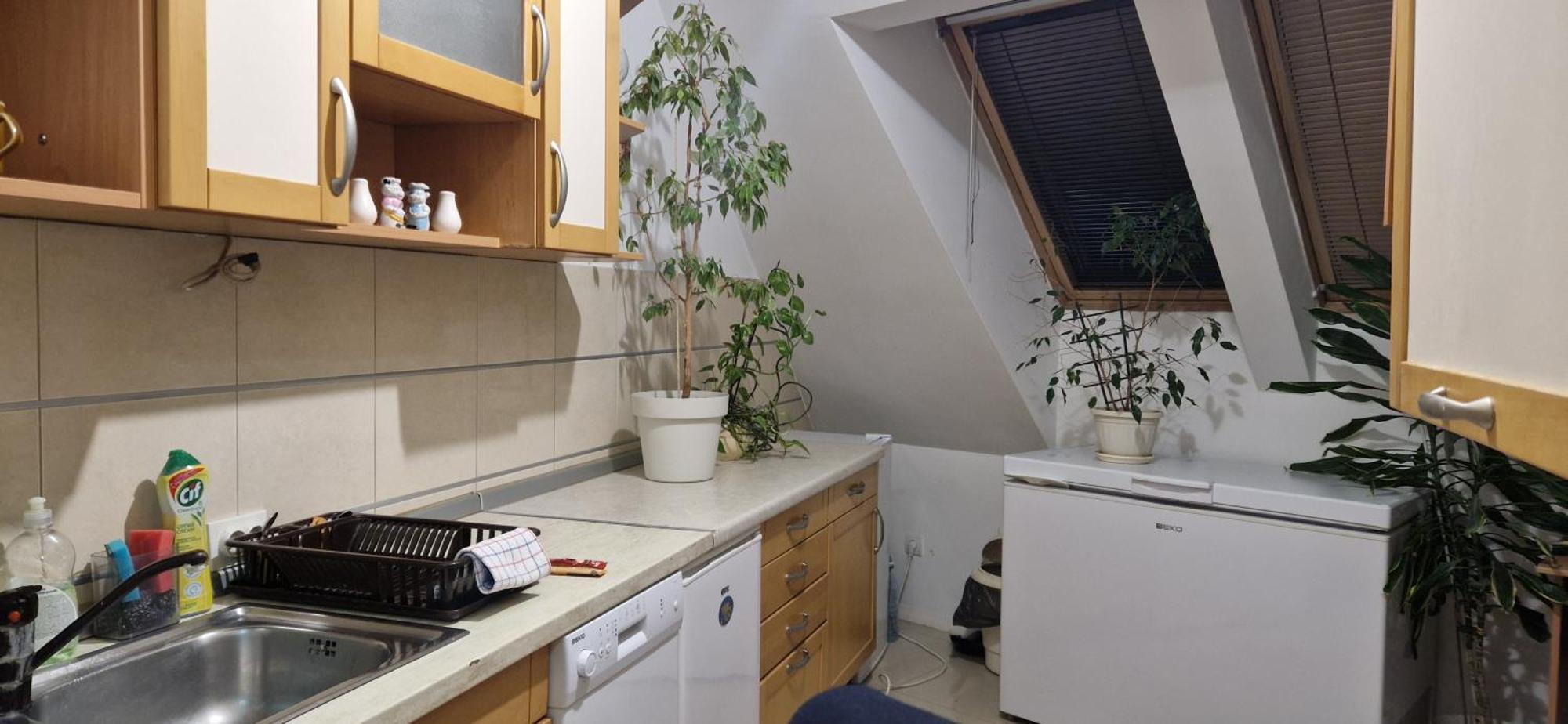 Apartman Natasa 3 Vrsac Exterior photo